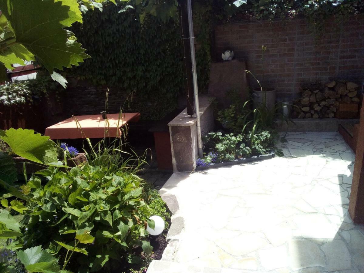 Haus Selina Villa Briedel Ngoại thất bức ảnh