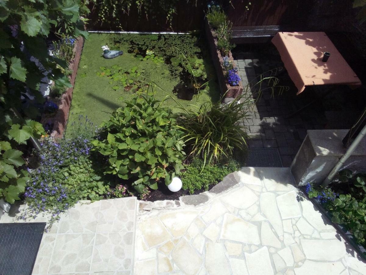 Haus Selina Villa Briedel Ngoại thất bức ảnh